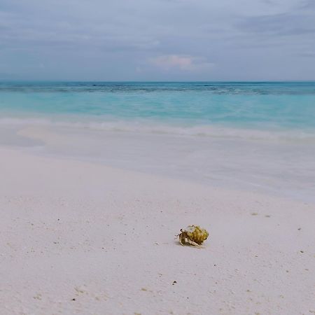 Bougan Villea Retreat Bodufolhudhoo Екстер'єр фото
