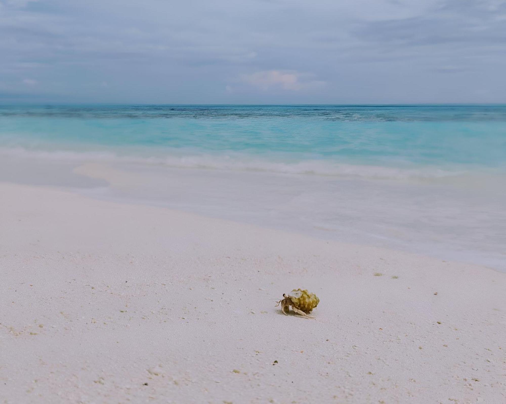 Bougan Villea Retreat Bodufolhudhoo Екстер'єр фото