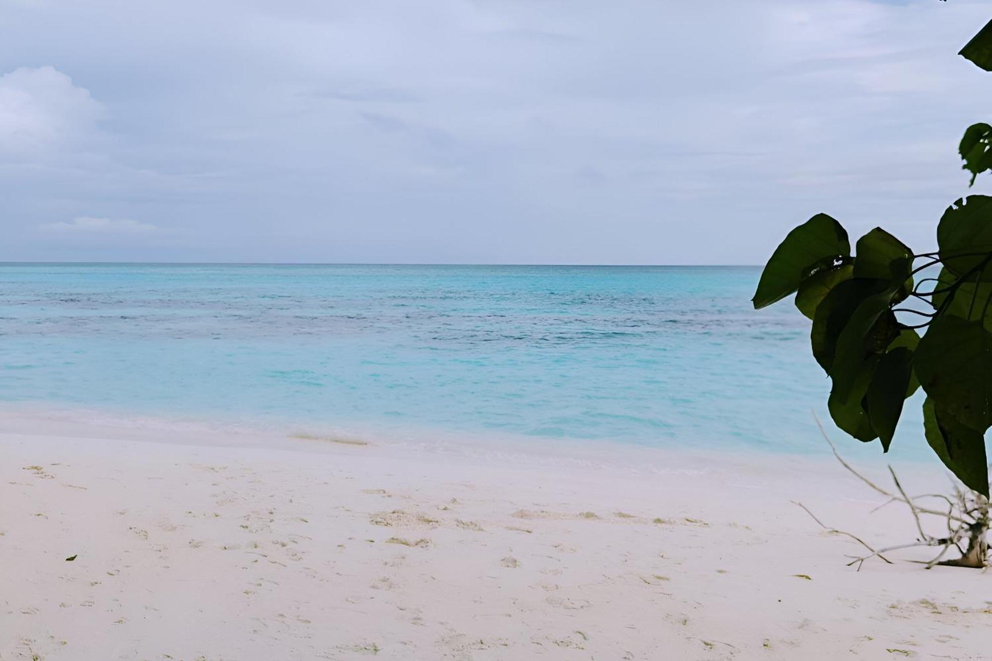 Bougan Villea Retreat Bodufolhudhoo Екстер'єр фото